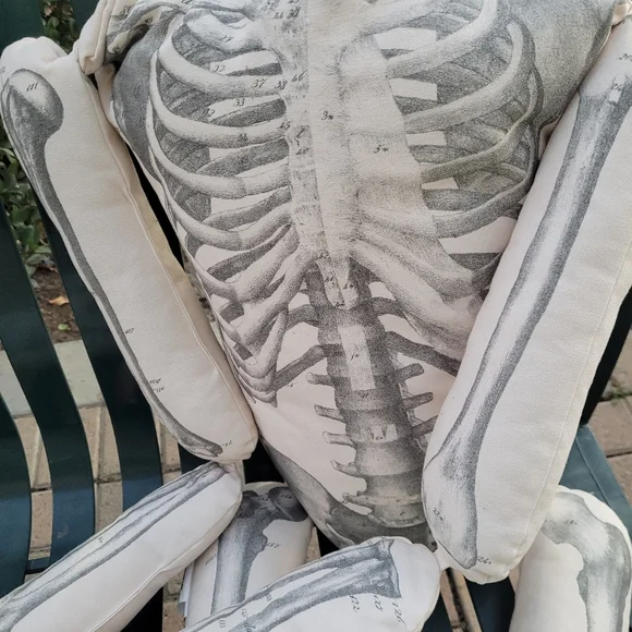 New John Derian XL Skeleton pillow home decor goth Gothic apothecary skull